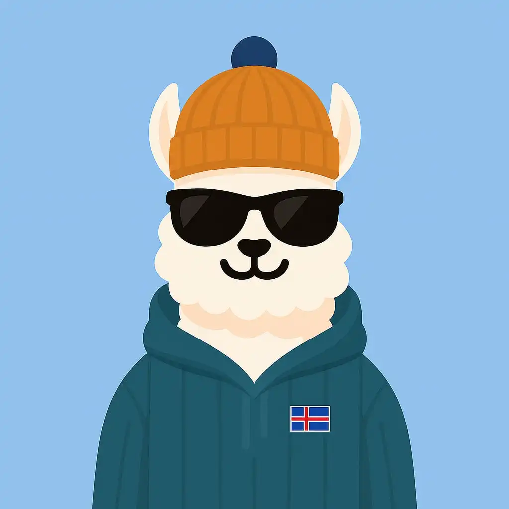 Students group in Reykjavik