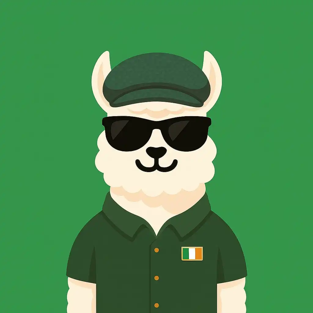 Students group in Dublin